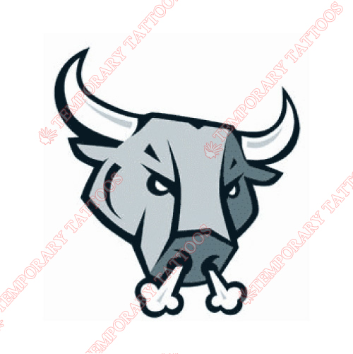 San Antonio Rampage Customize Temporary Tattoos Stickers NO.9131